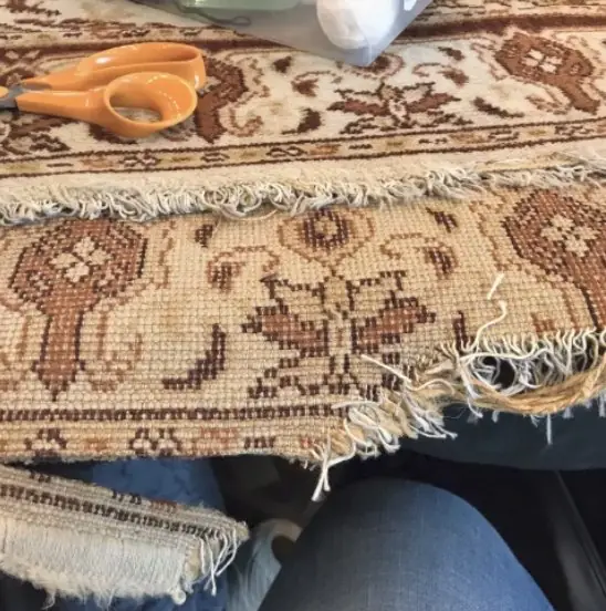 Inspection d'un tapis en laine pour détecter les mites
